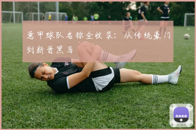 意甲球队名称全收录：从传统豪门到新晋黑马