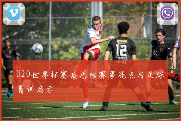 U20世界杯赛后总结赛事亮点与足球青训启示